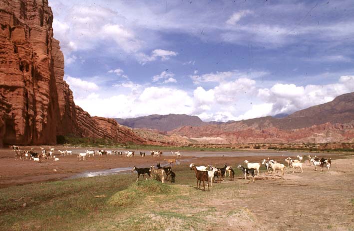 Quebrada de las Conchas